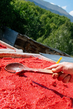 Hand spreading thick red tomato paste on a wooden drying tray