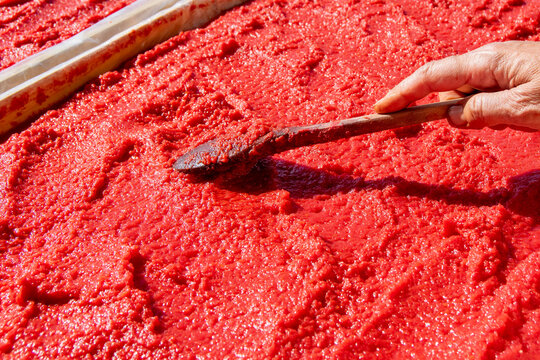 Hand spreading thick red tomato paste on a wooden drying tray