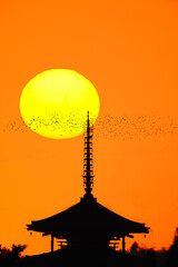 夕日と五重塔　鳥飛翔