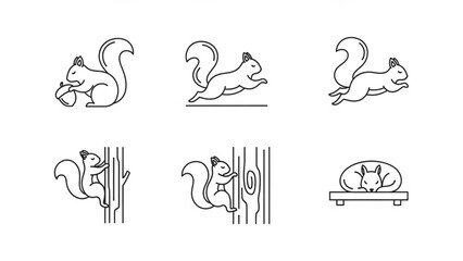A set of six line drawings of squirrels in various poses and activities on white background with illustration and vector and animal and wildlife and cartoon with icon