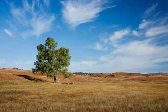 Wind Cave National Park