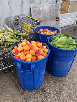 Large Containers of Produce