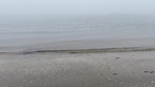 Calm gray water meeting the seashell speckled shoreline under a dense blanket of coastal fog and mist. Cervia. Italy.