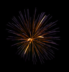 Colorful firework sparkling on black background for celebration and anniversary