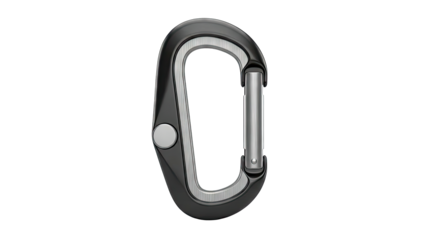 Black Oval Carabiner with Silver Gate