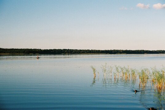 Anonymous person on a SUP board on a lake in the distance