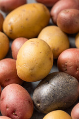 Healthy Raw Mini Multicolored Rainbow Potatoes