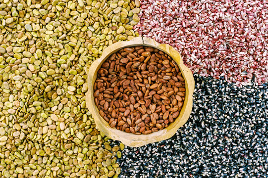 Film photo of Colorful Seeds Arranged in Beautiful Patterns
