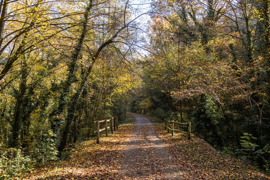 Autumn landscape