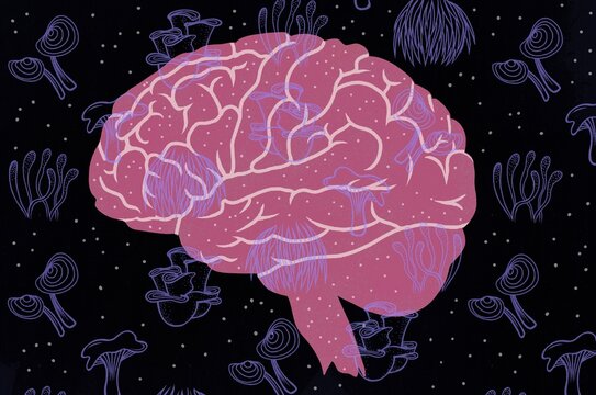 Mushrooms and the Brain