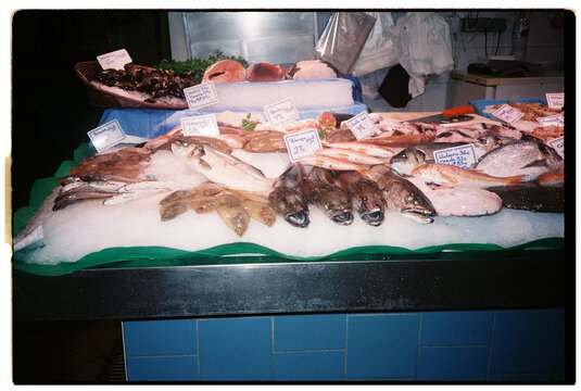 Fresh Seafood on Display at a Local Fish Market in the Evening