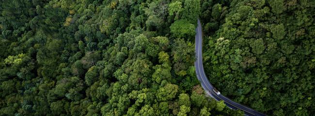 Sustainable mobility concept with EV driving on scenic forest highway.