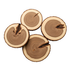 Four wood slices arrangement isolated on transparent background