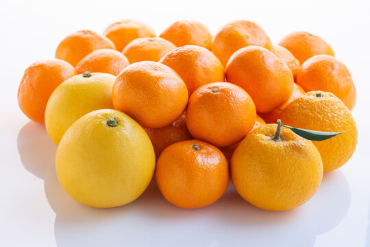 なつみかん」の写真素材 | 1,596件の無料イラスト画像 | Adobe Stock