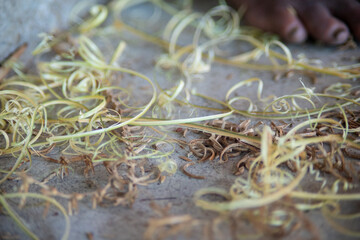 Bamboo shavings from traditional handcrafting in Thailand