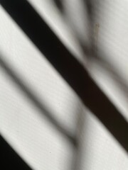 Shadow light on wall background