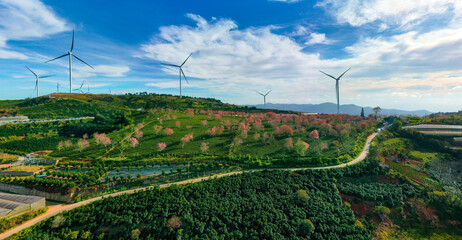 dutch windmill in spring