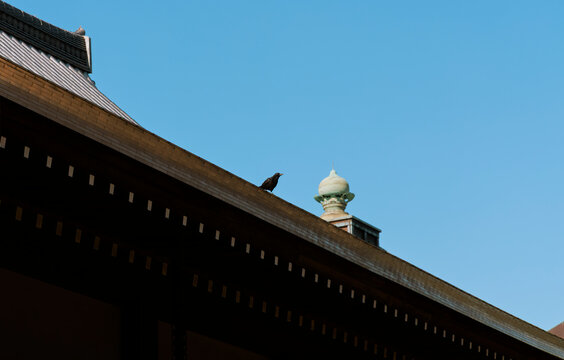 Crow Silhouette: Japanese Temple Rooftop Against a Blue Sky.