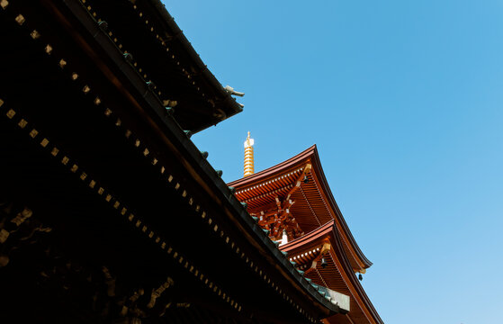 Rooftop of a Japanese Temple Hall and the Top of a Pagoda.