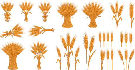 Wheat or barley ears. Harvest wheat grain, growth rice stalk and bread grains isolated vector set. Harvest wheat grain, growth rice stalk and whole bread grains. Agriculture. Transparent EPS version.
