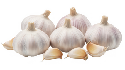 Fresh garlic bulbs and cloves arranged artfully on a transparent background isolated on transparent background