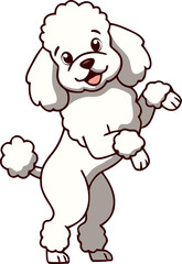 Obraz premium Cute White Poodle Dog Standing on Hind Legs - Animal Character Illustration Isolated on Transparent Background