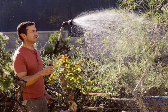 A man waters his bonsai trees. 