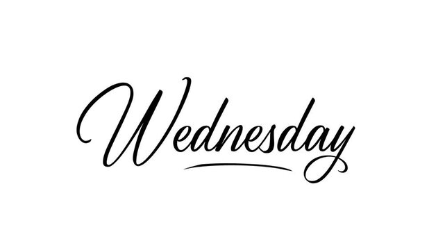 Wednesday text animation. Handwriting text. Video 4k alpha channel, minimalist lettering design modern new. Perfect for midweek or celebrate hump day message