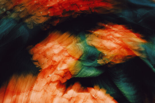 Vibrant orange flowers in motion during a sunny afternoon