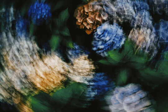 Vivid abstract colors blend in a dynamic display of movement