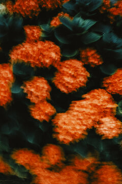 Vivid abstract colors blend in a dynamic display of movement