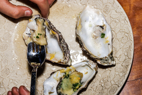 Oysters au gratin are eaten 