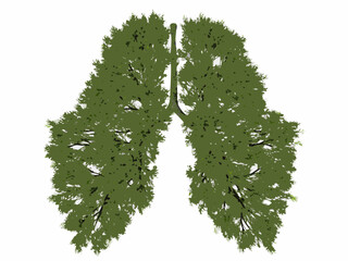 Lungs shaped like a tree symbolizing breath and healthy living