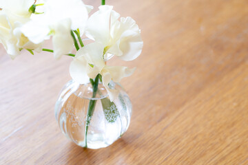 花,スイートピー,門出,成人式,インテリア