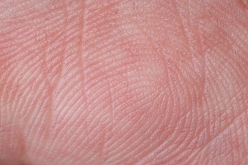 Naklejka premium Extreme macro shot of human skin texture and fingerprint ridges. Abstract pinkish background for security and identity concepts. 