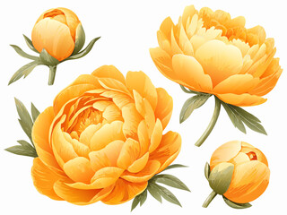 Four vibrant yellow peony flowers with green leaves a beautiful floral arrangement