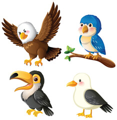 Colorful Cartoon Birds in Various Poses and Expressions