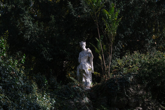 Statue in Shaded Garden