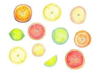 Watercolor Citrus Fruit Slices and Wedges on White Background