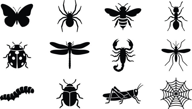 Insects and Bugs Silhouette Vector Icon Set, butterfly, spider, ant, dragonfly and mosquito design