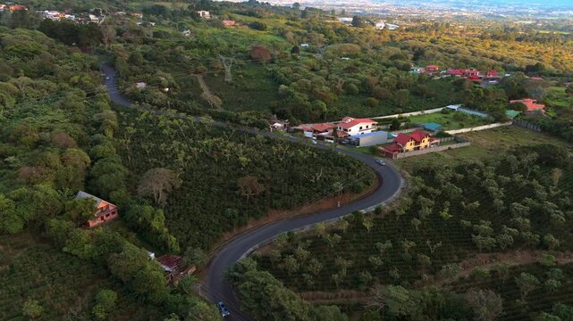 Aerial pull-back shot of a winding mountain road and lush coffee plantations with traditional houses in San Rafael, Heredia, Costa Rica at sunset
