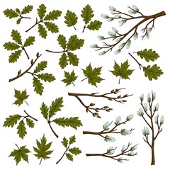 春の息吹、精緻な植物画