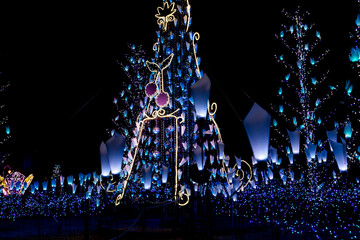 冬の夜のイルミネーション