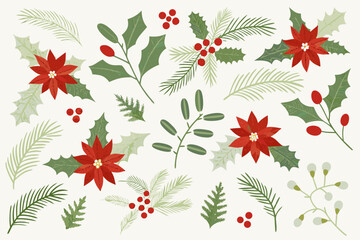 Festive botanical illustration featuring holly poinsettia and various evergreen branches