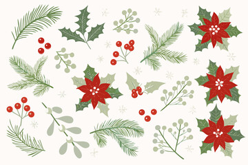 Festive botanical illustration featuring holly poinsettia mistletoe and winter foliage