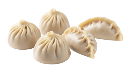 Five Uncooked Chinese Steamed Dumplings and Gyoza Isolated on White Background