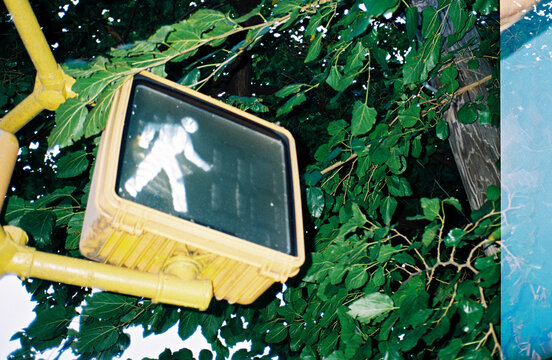 Walk signal at crosswalk in New York City