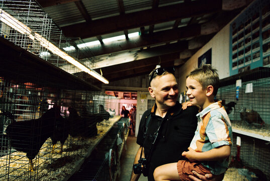 Father holds child up to look at chickens at a fair exhibit