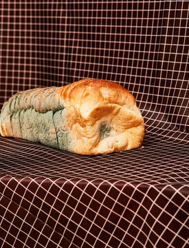 Colorful moldy bread on tablecloth