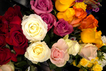 Naklejka premium bouquet of roses